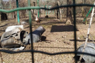 Николаевцы, спасая животных в зоопарке о…