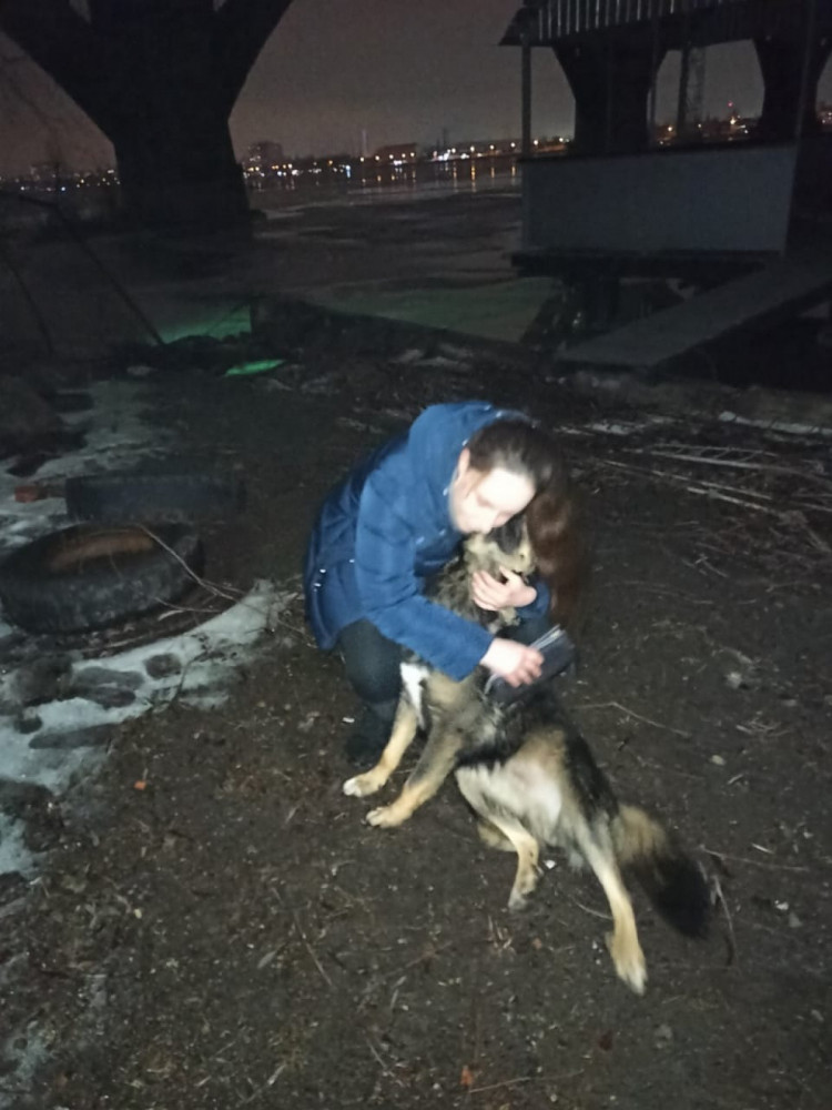 Дівчина знайшла загубленого собаку