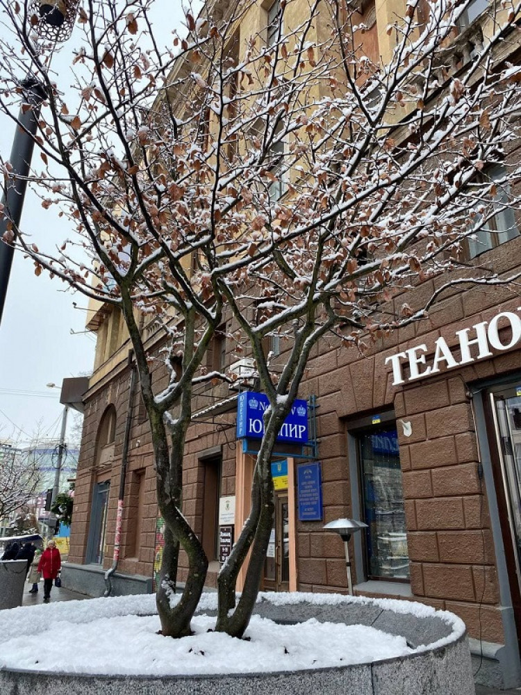 Вулиці Дніпра у снігу